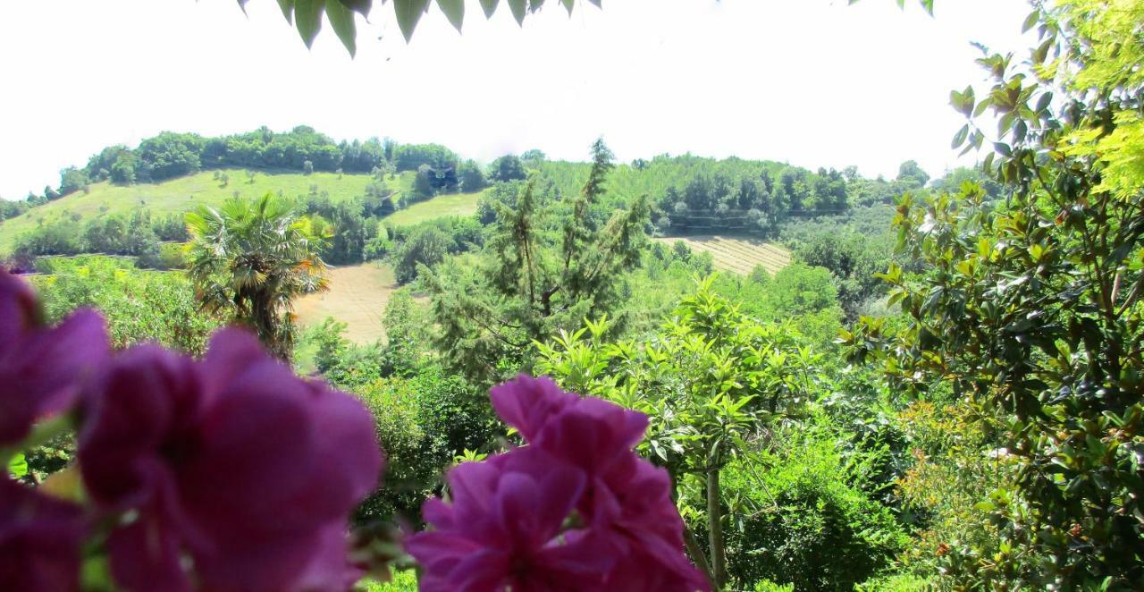 B&B Carboni Penna San Giovanni Екстериор снимка