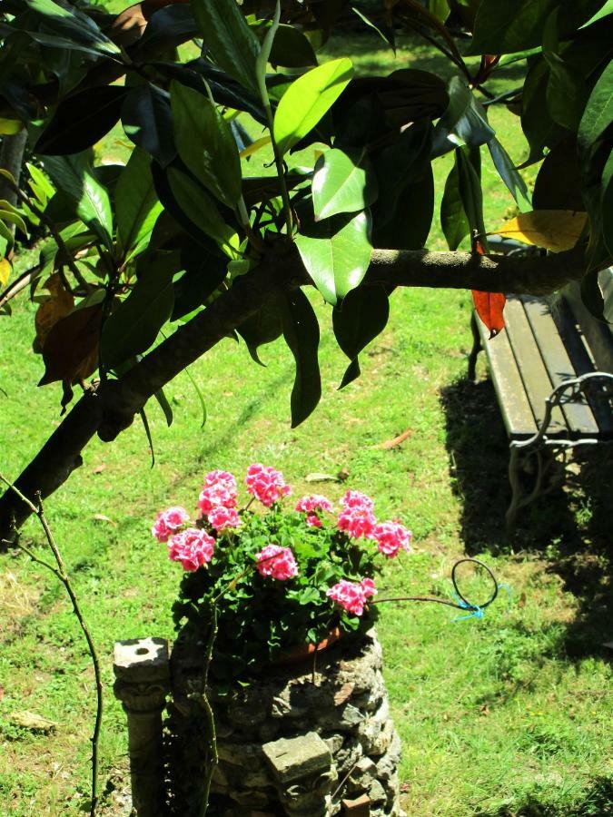 B&B Carboni Penna San Giovanni Екстериор снимка