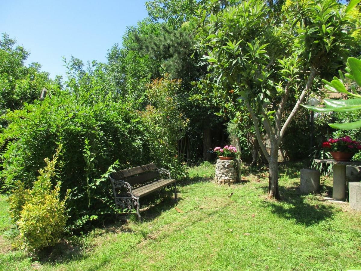 B&B Carboni Penna San Giovanni Екстериор снимка