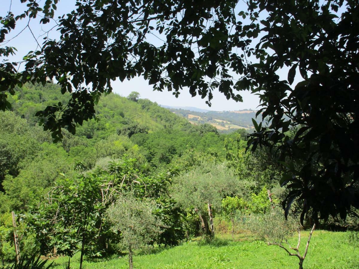 B&B Carboni Penna San Giovanni Екстериор снимка