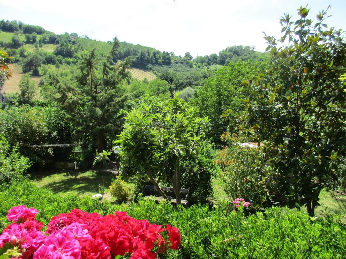 B&B Carboni Penna San Giovanni Екстериор снимка